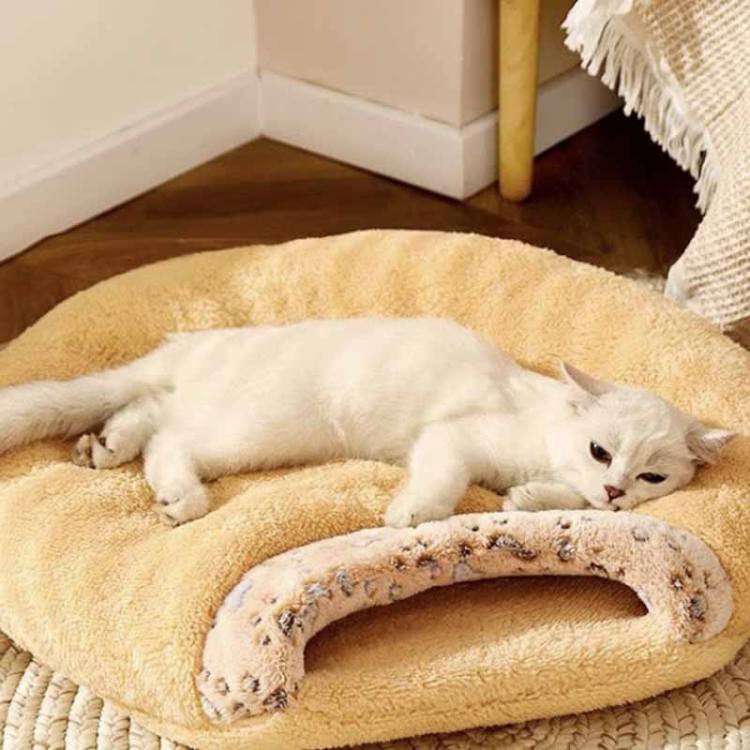 ペットベッド 冬 猫 ベッド 犬ベッド 猫ハウス 洗える 寝袋 2WAY ペットクッション ふわふわ 猫 犬 マット キャットハウス 猫布団 あった