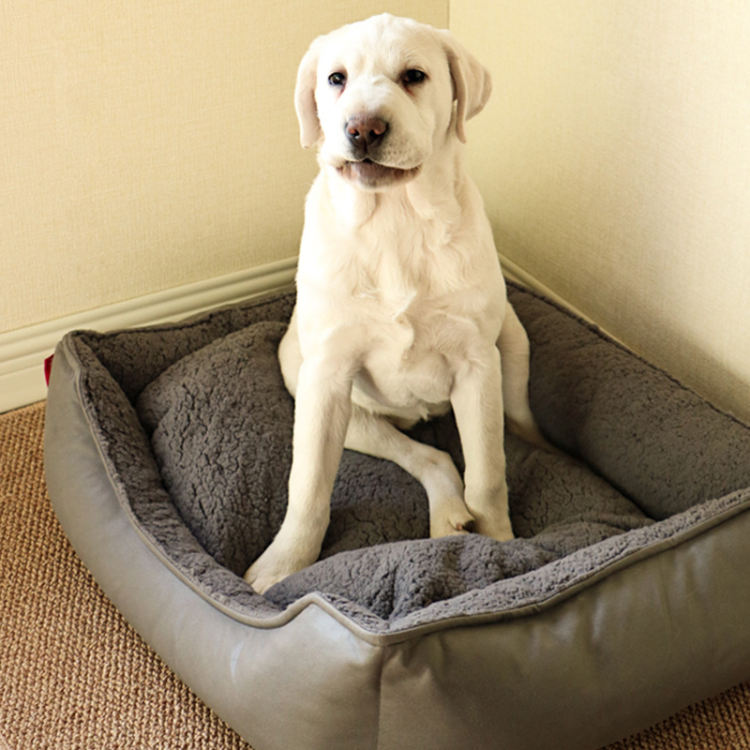 ペットベッド 犬 夏用 夏 中型犬 丸 かわいい 洗える 介護 大きい 可愛い おしゃれ 猫 犬 ブルー ピンク リバーシブルペットベッド ペット 犬 猫 40x50cm 車 メッシュ