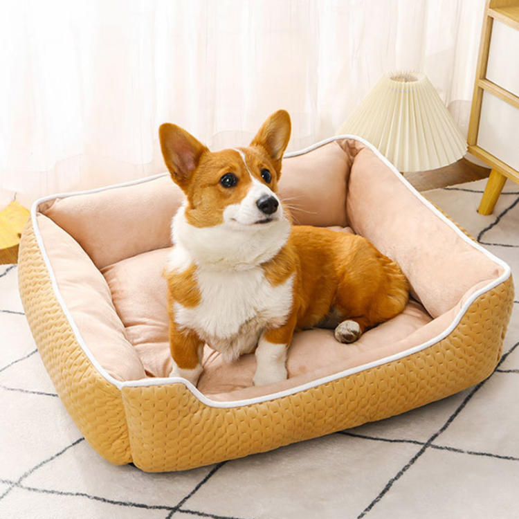 猫 犬 ベッド クッション グッズ ラウンド型 もふもふ 丸型 ドーナツふわふわ もこもこ ぐっすり眠る 洗える キャット 通年 小型犬用 ペット用品