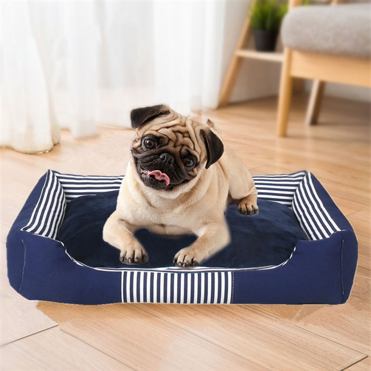 ペットベッド 夏 ラウンド s 大型犬 小型犬 犬用 猫 夏用 洗える 犬 スクエア型 丸型 冷感 マット 通年タイプ ドッグ 耐久 体圧分散 床ずれ クッション ハウス 防寒 秋 冬