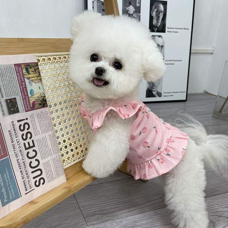 おしゃれ 犬服ワンピース ペット服 小型犬 夏 犬猫洋服 かわいい太陽の花格子 ドレス 蒸し暑くない お出かけウェアに 薄手 サスペンダースカート 記念撮影 犬服
